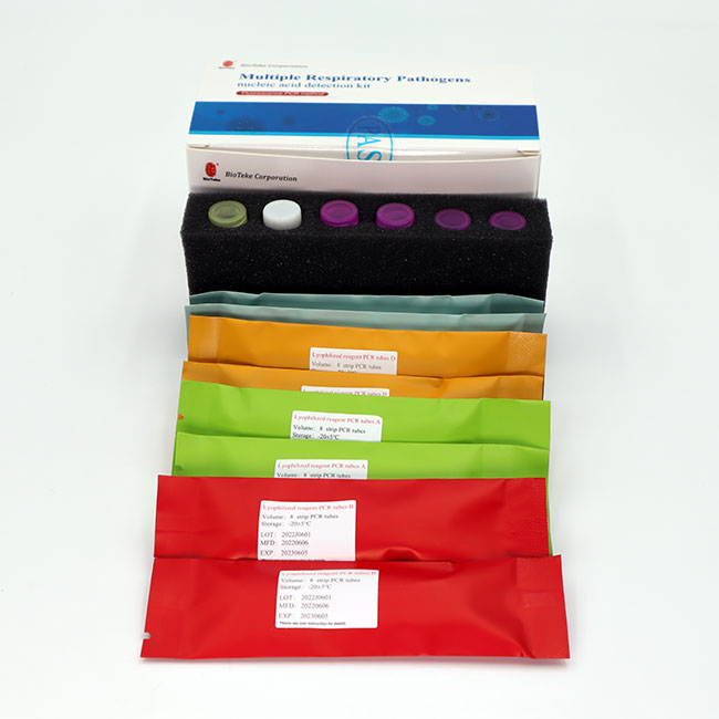 Respiratorisk mutiplex PCR Test 