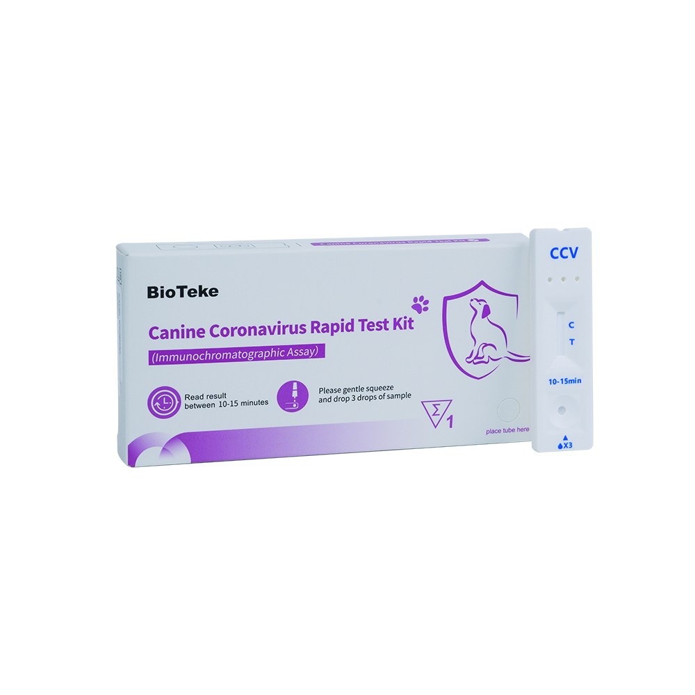 hunde coronavirus test