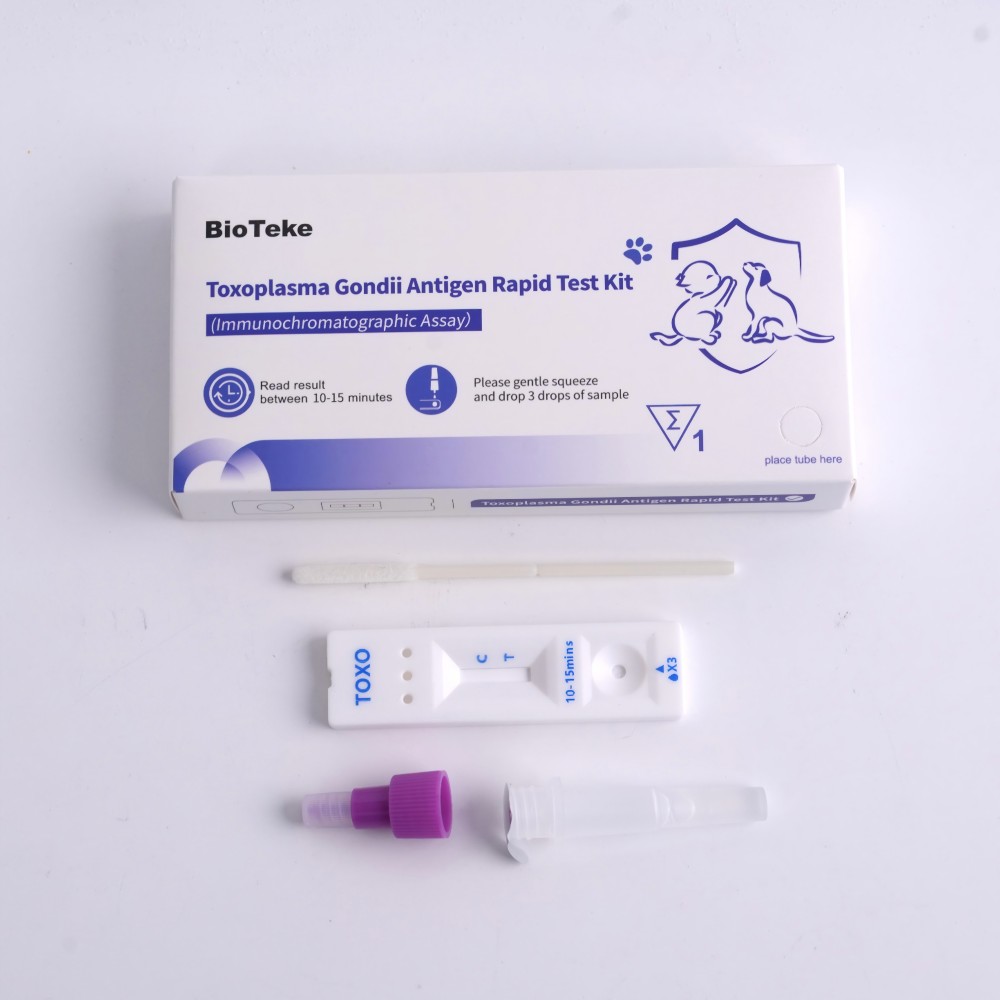 Toxoplasma gondii testsæt 