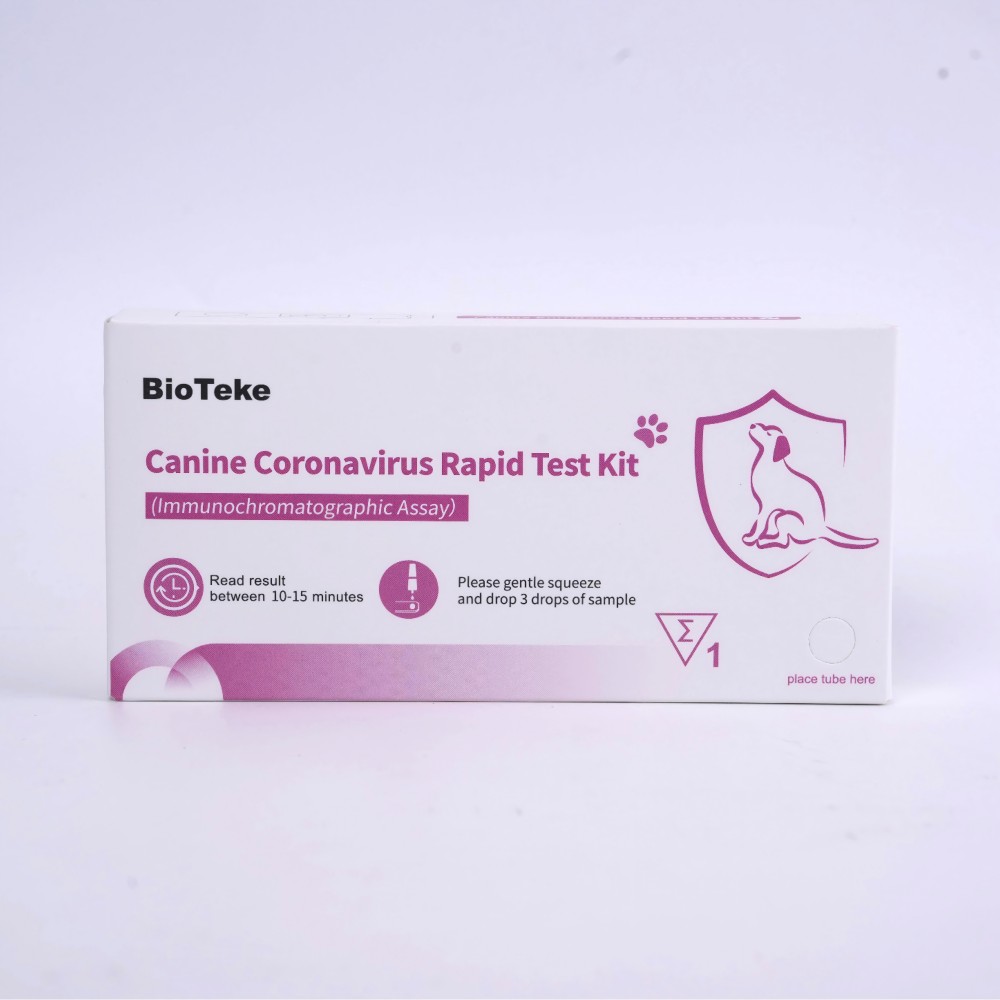 hunde coronavirus test 