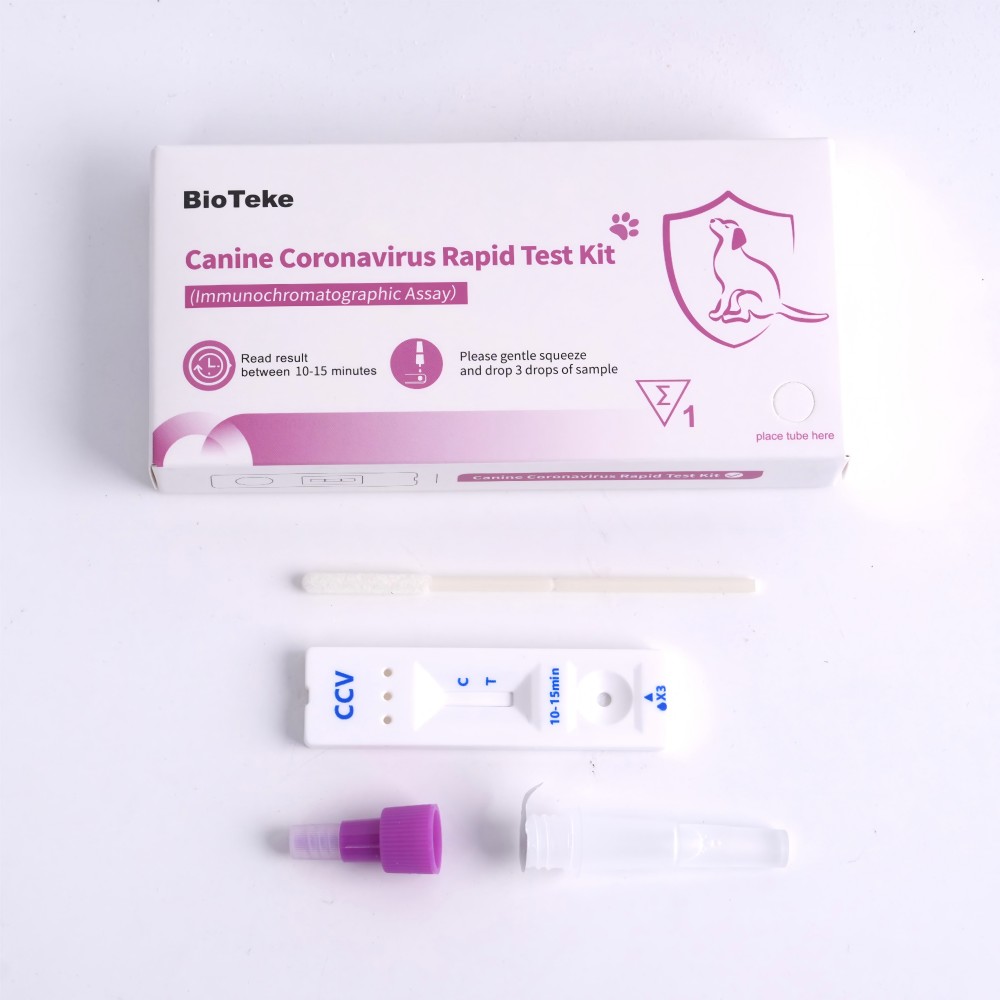hunde coronavirus test 