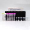 Bioteke Flere respiratoriske patogener Nucleic Acid Detection Kit (fluorescens PCR-metode) PR2022-RP06