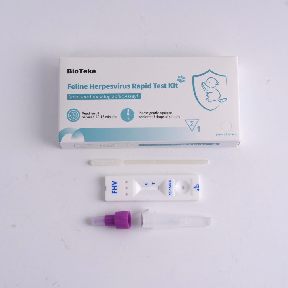 Feline herpesvirus test 